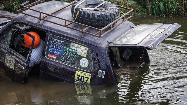 透明度与公 透明度与公
