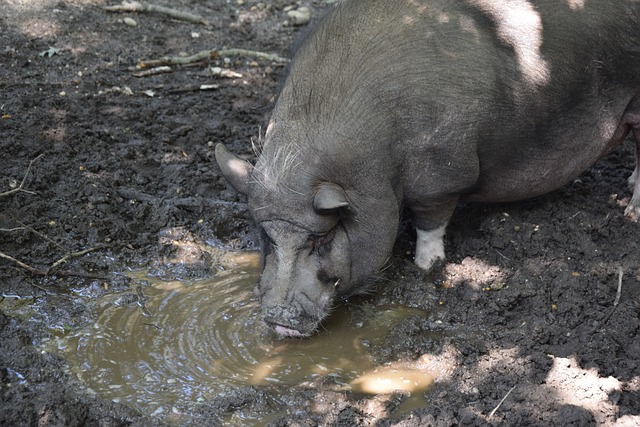 队的温暖 队的温暖