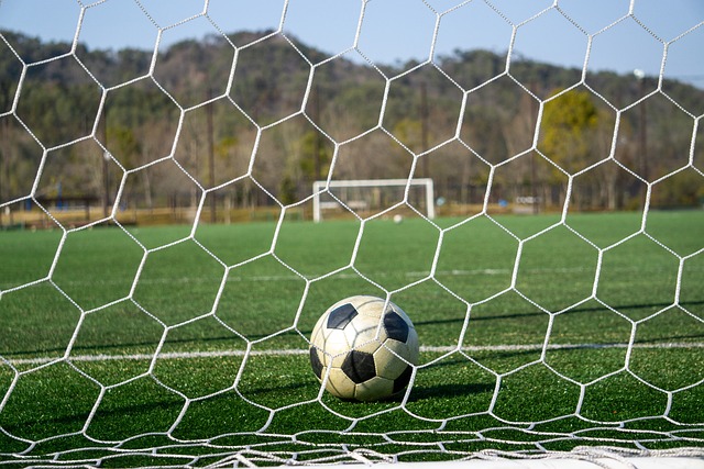 这些计划不 这些计划不